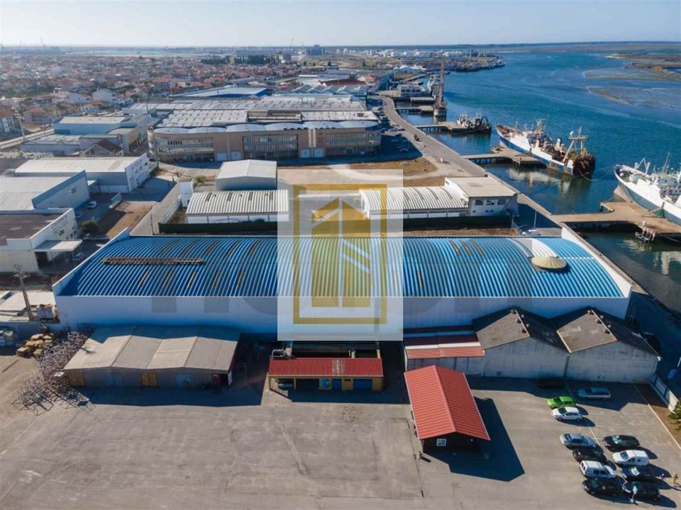 Erhvervsejendom i Ilhavo, Aveiro - foto 4