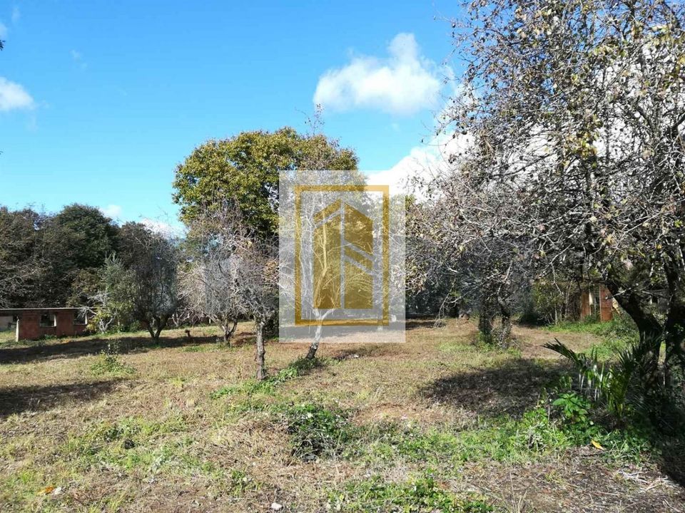 Erhvervsejendom i Oliveira de Azemeis, Aveiro - foto 3