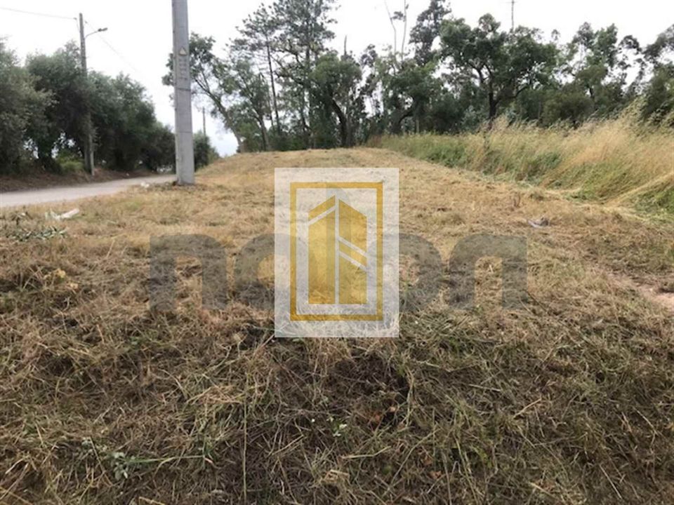 Helårsgrund i Soure, Coimbra - foto 2