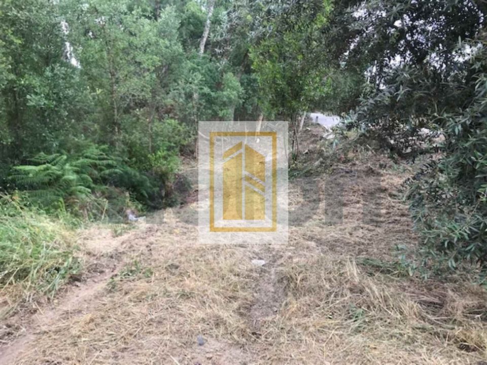 Helårsgrund i Soure, Coimbra - foto 3