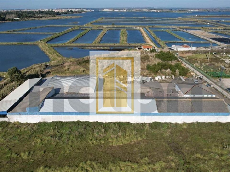 Erhvervsejendom i Ilhavo, Aveiro - foto 2