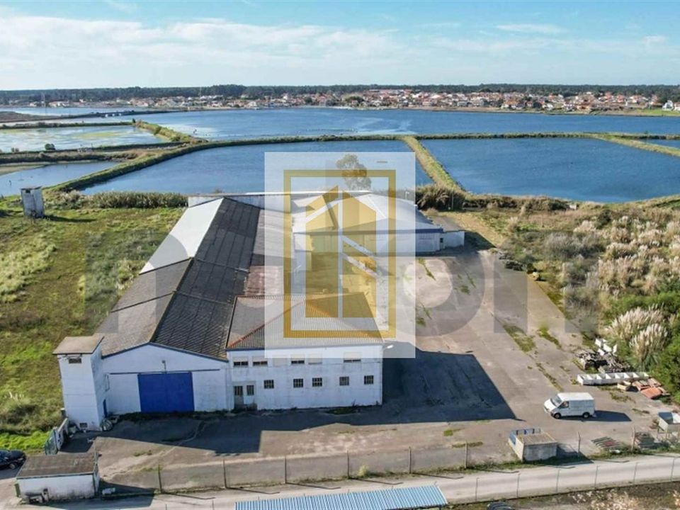 Erhvervsejendom i Ilhavo, Aveiro - foto 3