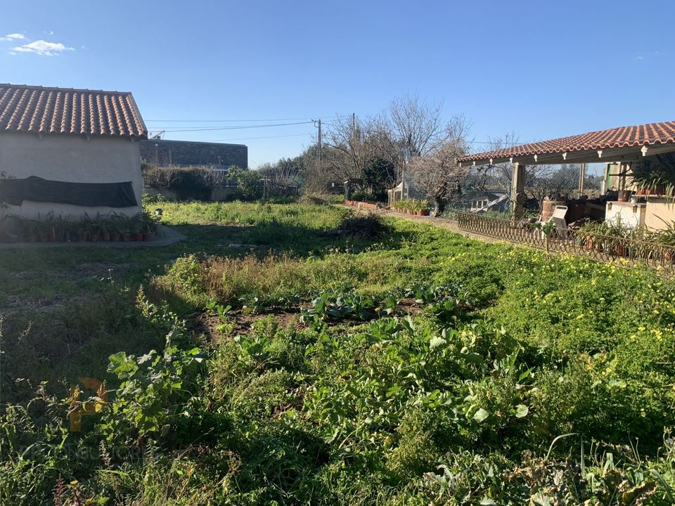 Villa i Oliveira do Bairro, Aveiro - foto 3