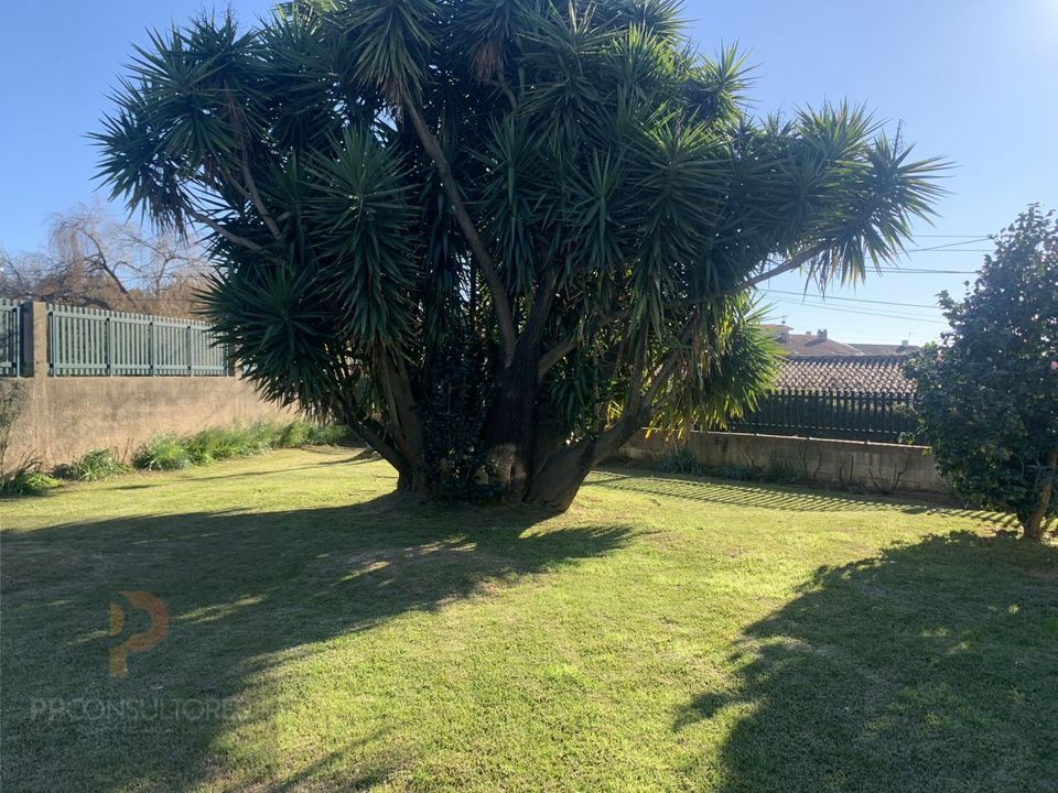 Villa i Oliveira do Bairro, Aveiro - foto 4