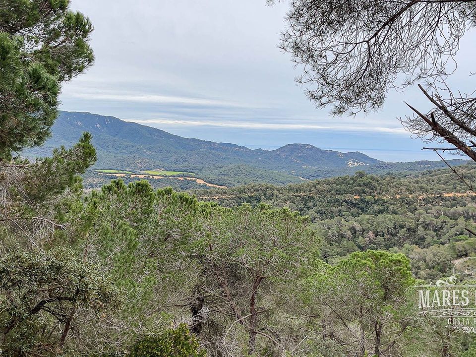 Helårsgrund i Lloret De Mar, Gerona - foto 2