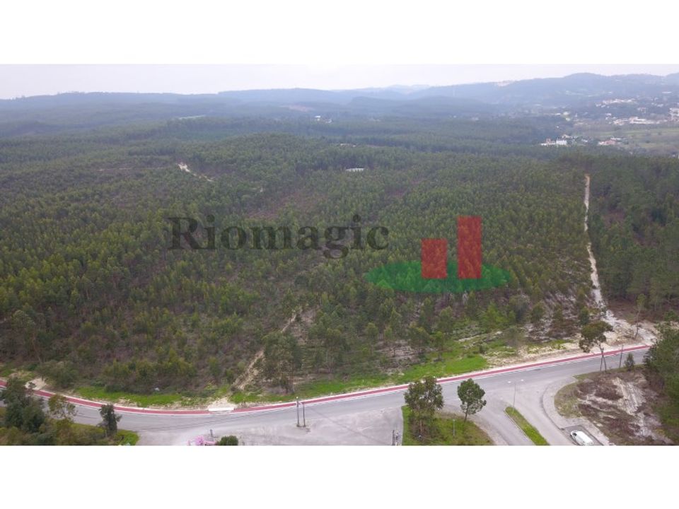 Helårsgrund i Rio Maior, Santarem - foto 2