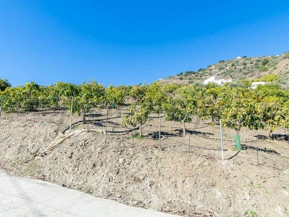 Finca i Competa, Malaga - foto 2