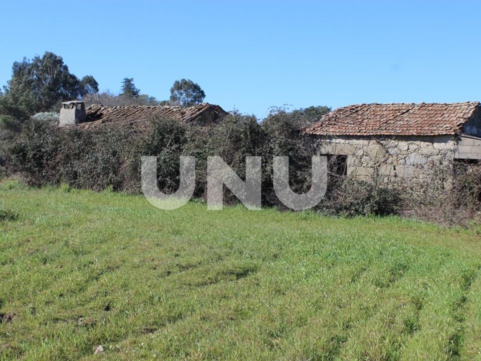 Farm i A do Bispo, Castelo Branco - foto 1