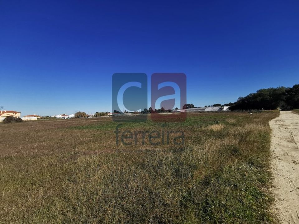 Helårsgrund i Alpiarca, Santarem - foto 4