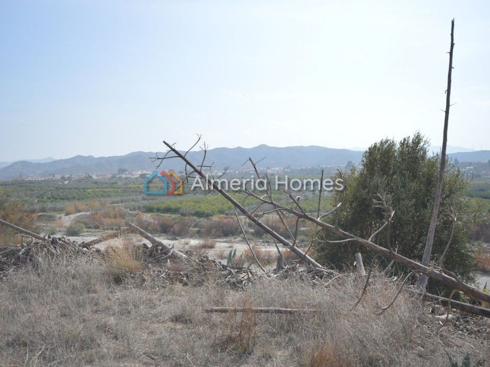 Landejendom i Arboleas, Almeria - foto 4