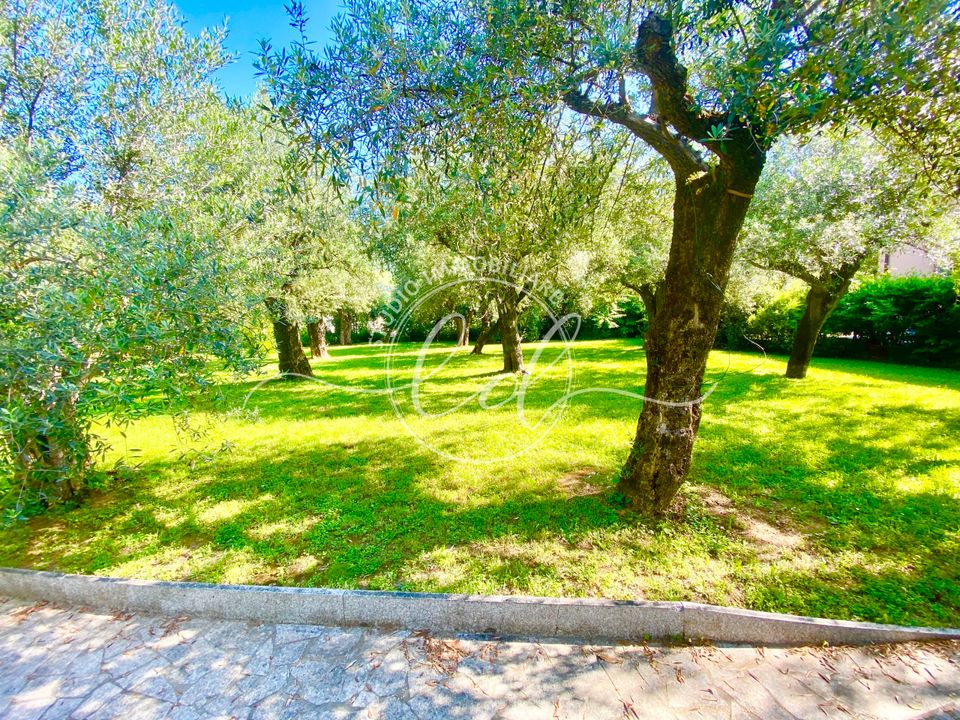 Villa i Seravezza, Lucca - foto 2
