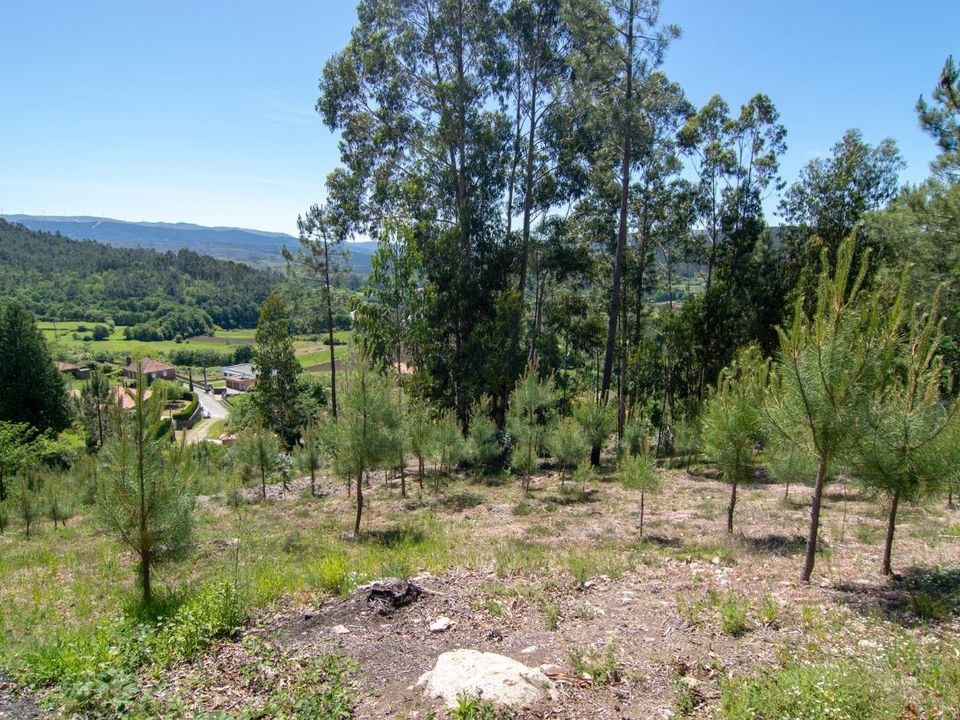 Helårsgrund i Paredes de Coura, Viana do Castelo - foto 2