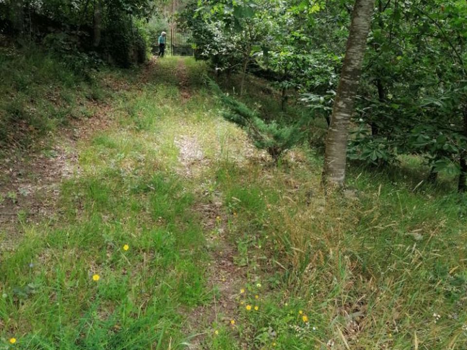 Helårsgrund i Paredes de Coura, Viana do Castelo - foto 4