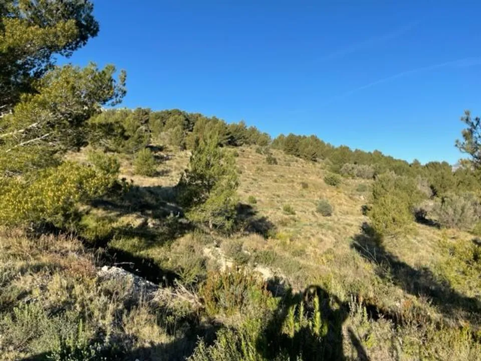 Helårsgrund i Guadalest, Alicante - foto 2