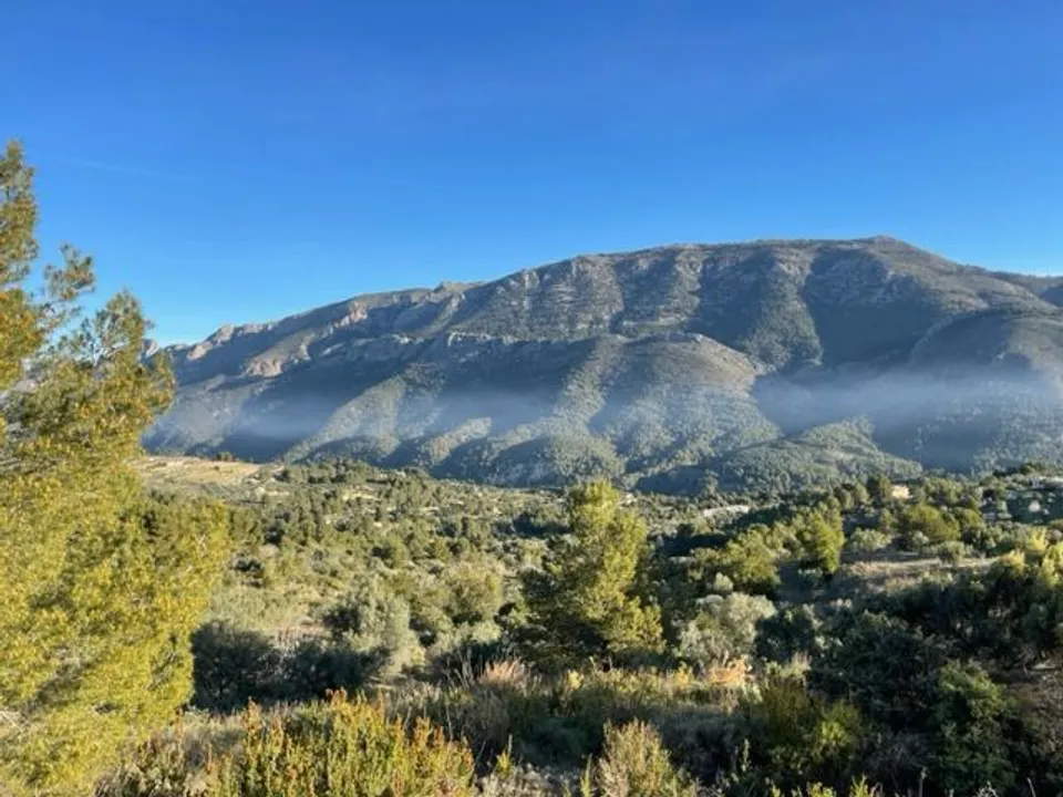 Helårsgrund i Guadalest, Alicante - foto 3