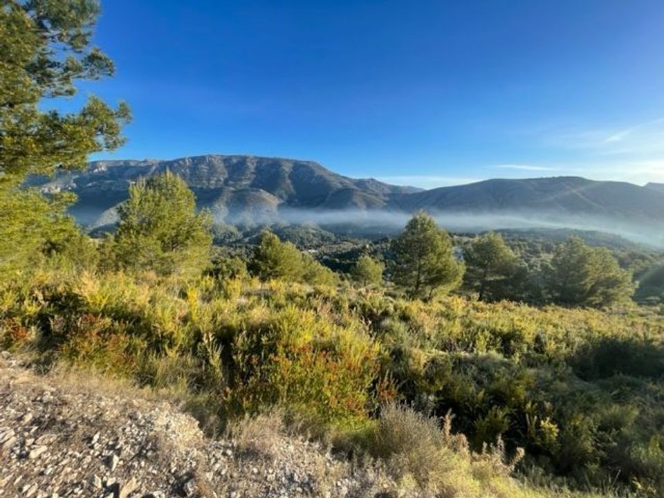 Helårsgrund i Guadalest, Alicante - foto 5