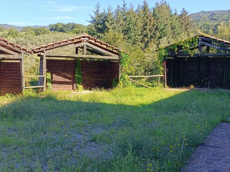 Villa i Pianopoli, Catanzaro - foto 3