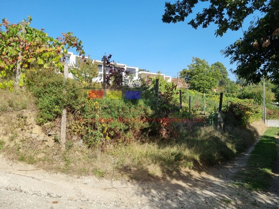 Helårsgrund i Cabeceiras de Basto, Braga - foto 4
