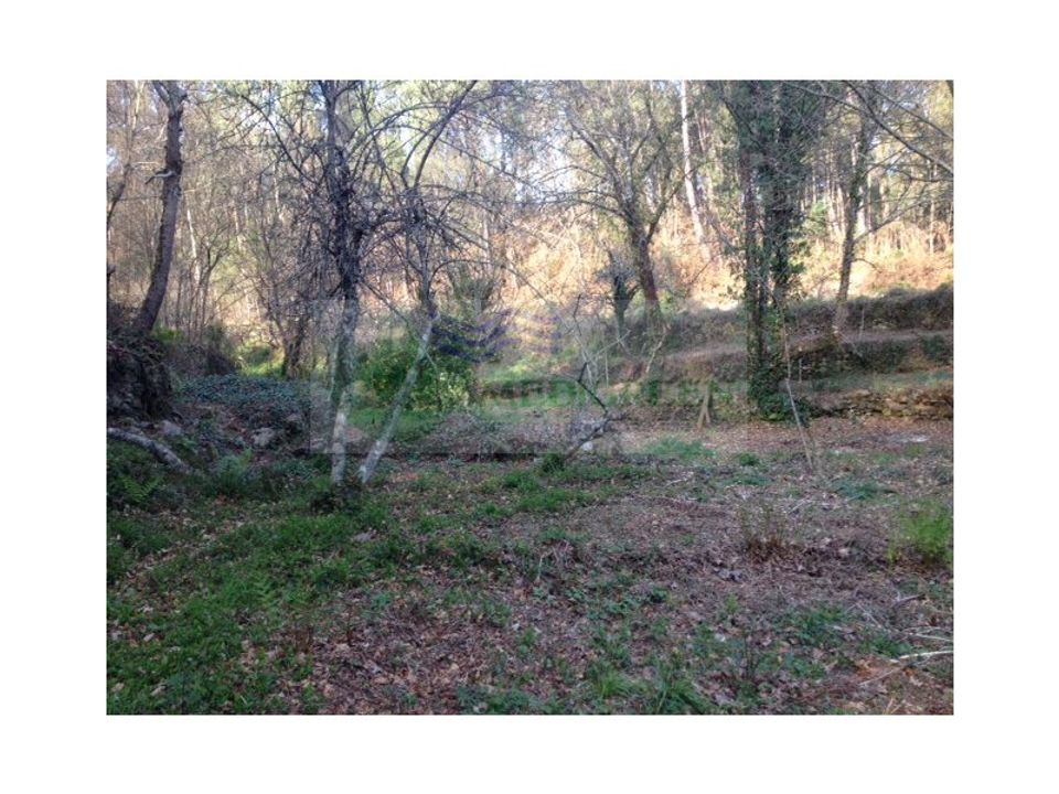 Farm i Sever do Vouga, Aveiro - foto 3