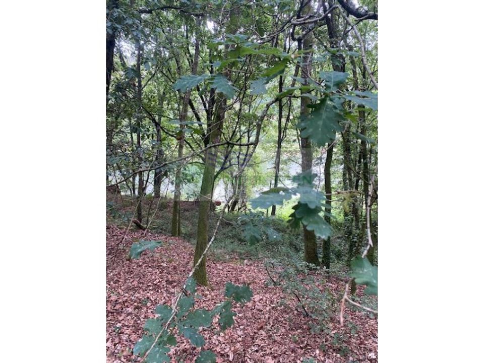 Helårsgrund i Oliveira de Frades, Viseu - foto 1