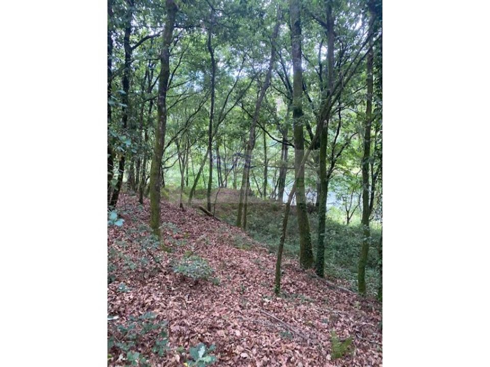 Helårsgrund i Oliveira de Frades, Viseu - foto 2