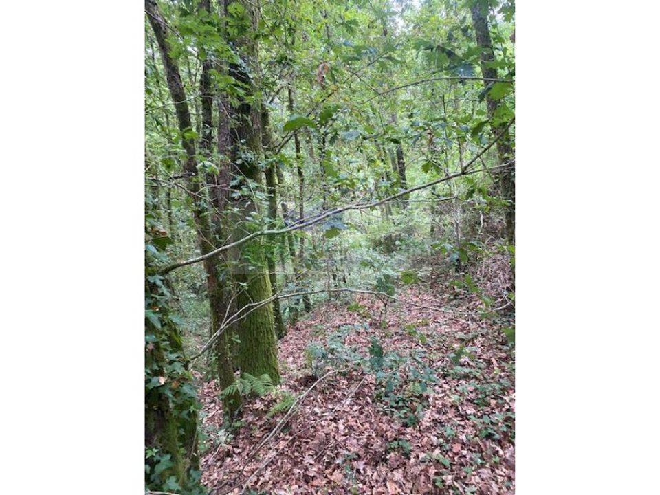 Helårsgrund i Oliveira de Frades, Viseu - foto 4