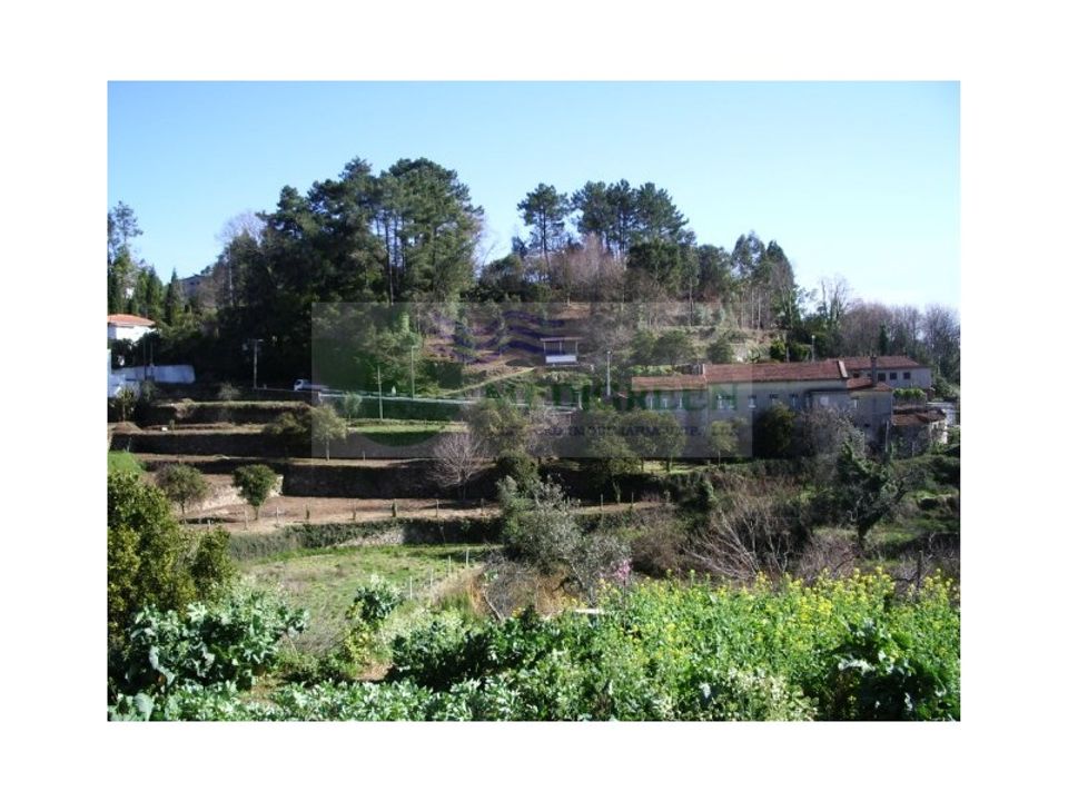 Granja a Sever do Vouga, Aveiro - foto 3
