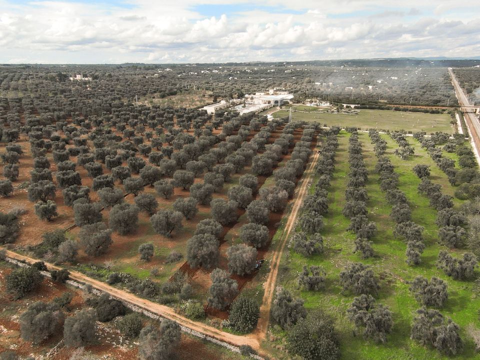 Helårsgrund i Carovigno, Brindisi - foto 1