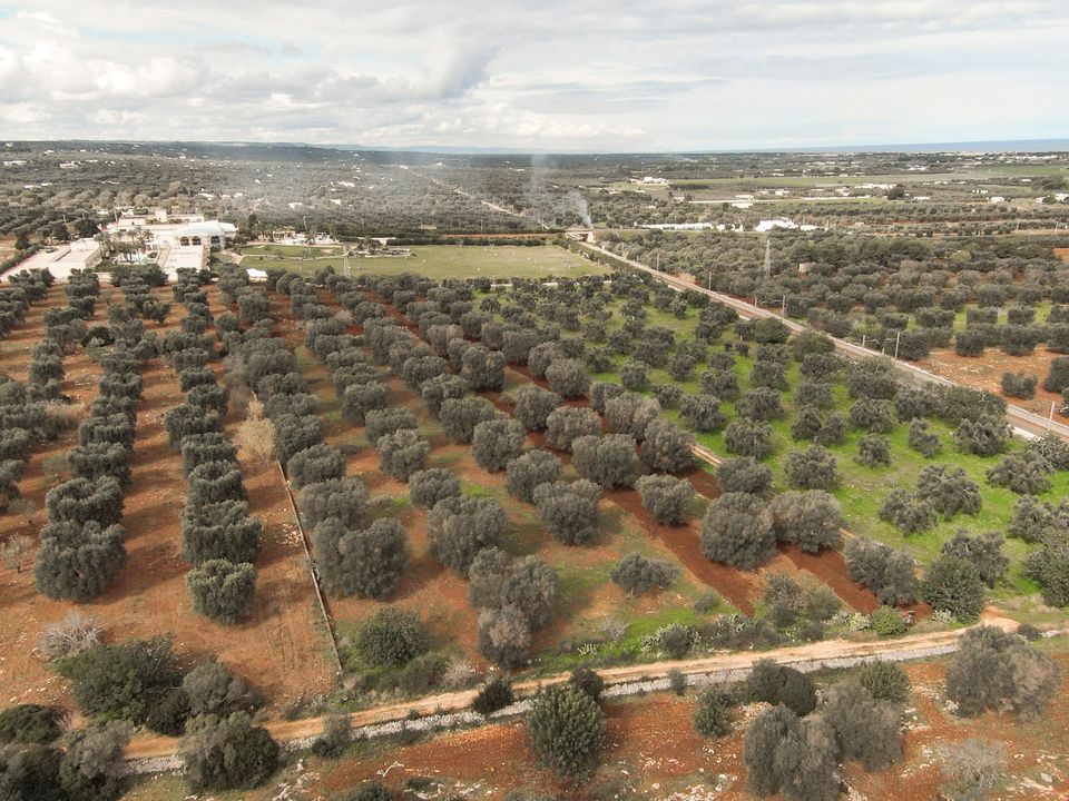 Helårsgrund i Carovigno, Brindisi - foto 2