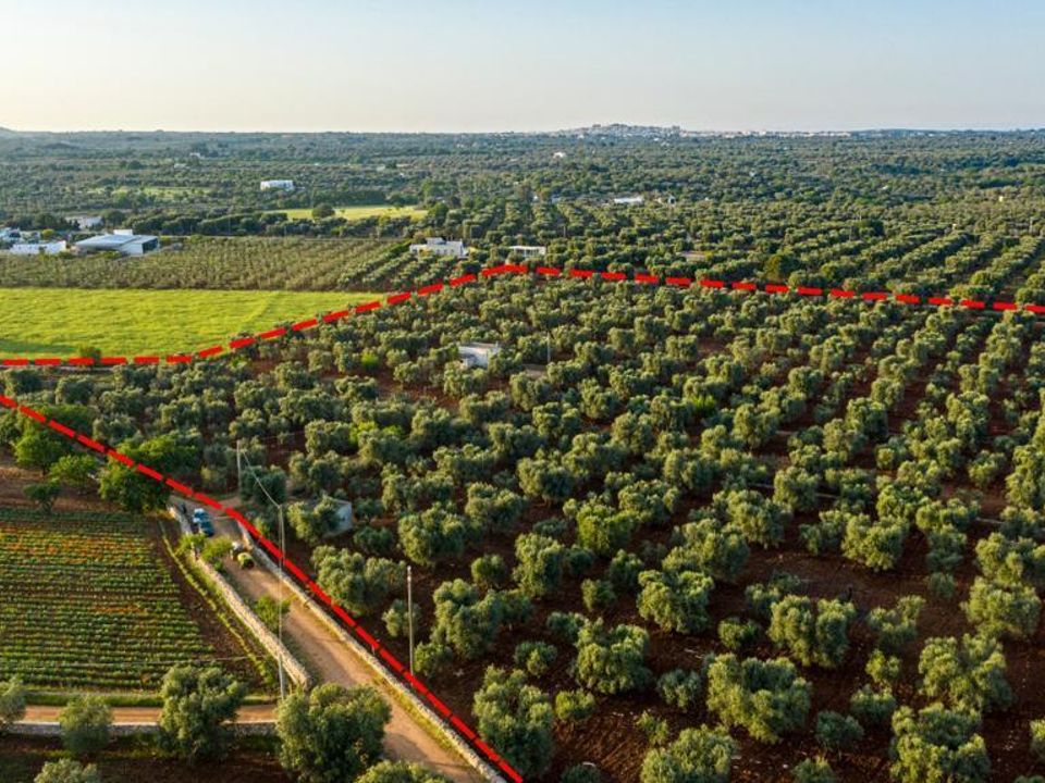 Helårsgrund i Carovigno, Brindisi - foto 1