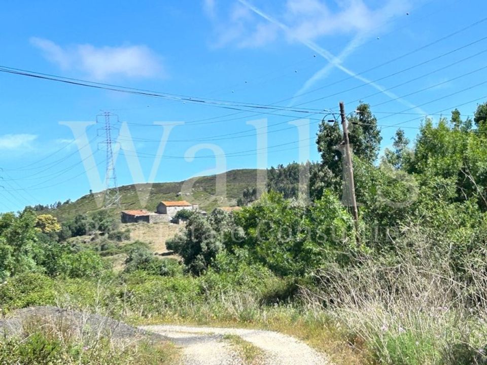 Farm i Belas, Lisbon - foto 4