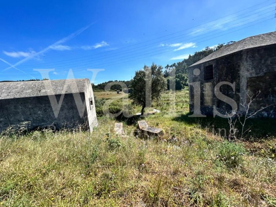 Farm i Belas, Lisbon - foto 5