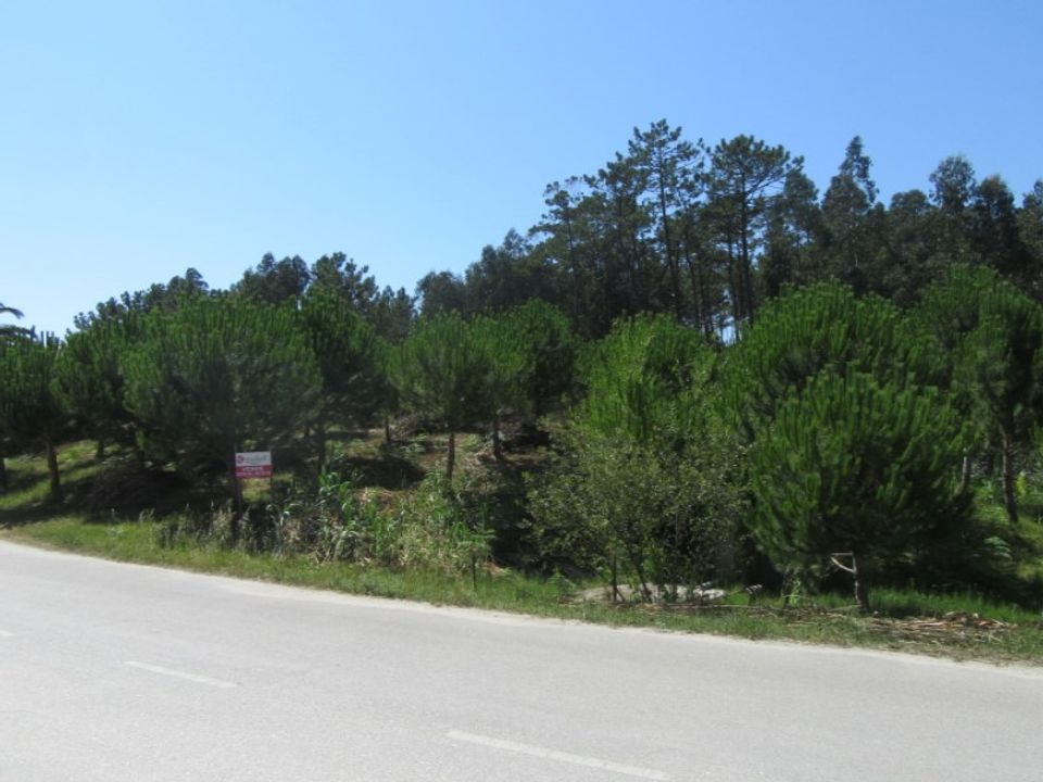 Tomt i Monte Real, Leiria - bilde 1