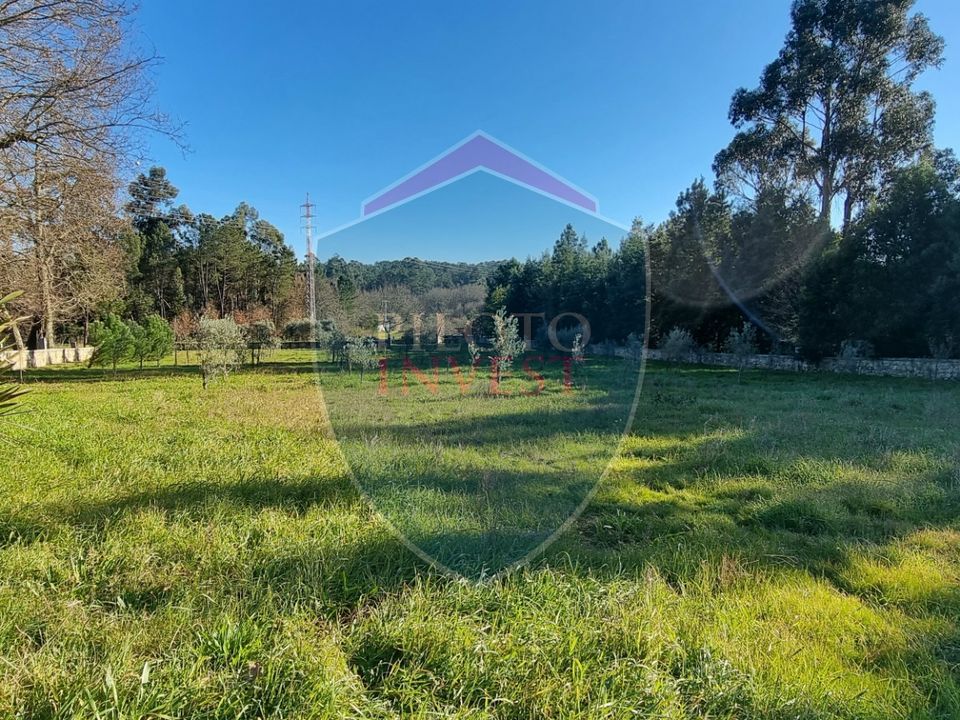 Farm i Viseu, Viseu - foto 1