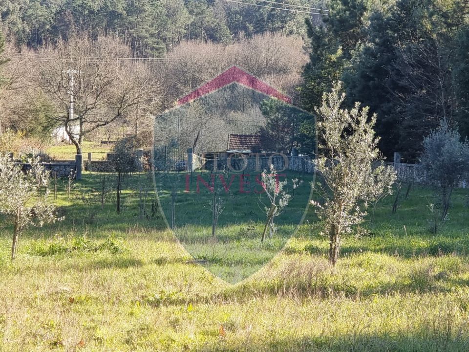 Farm i Viseu, Viseu - foto 2