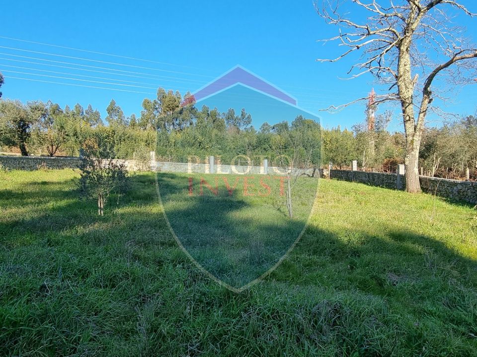 Farm i Viseu, Viseu - foto 3