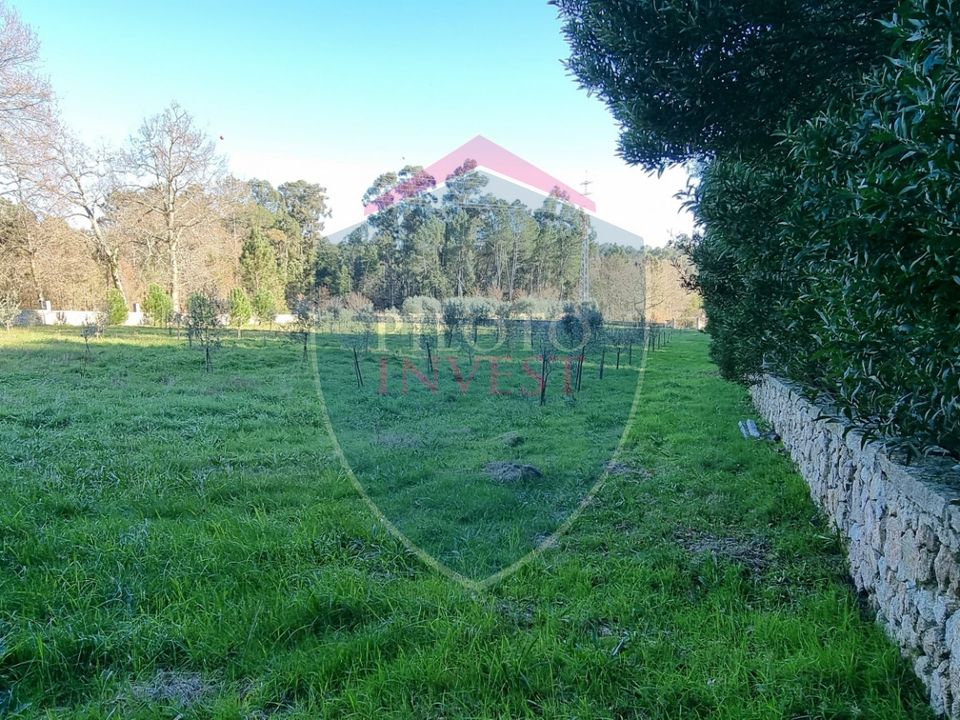 Farm i Viseu, Viseu - foto 4