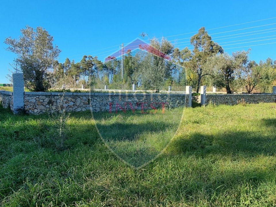 Farm i Viseu, Viseu - foto 5