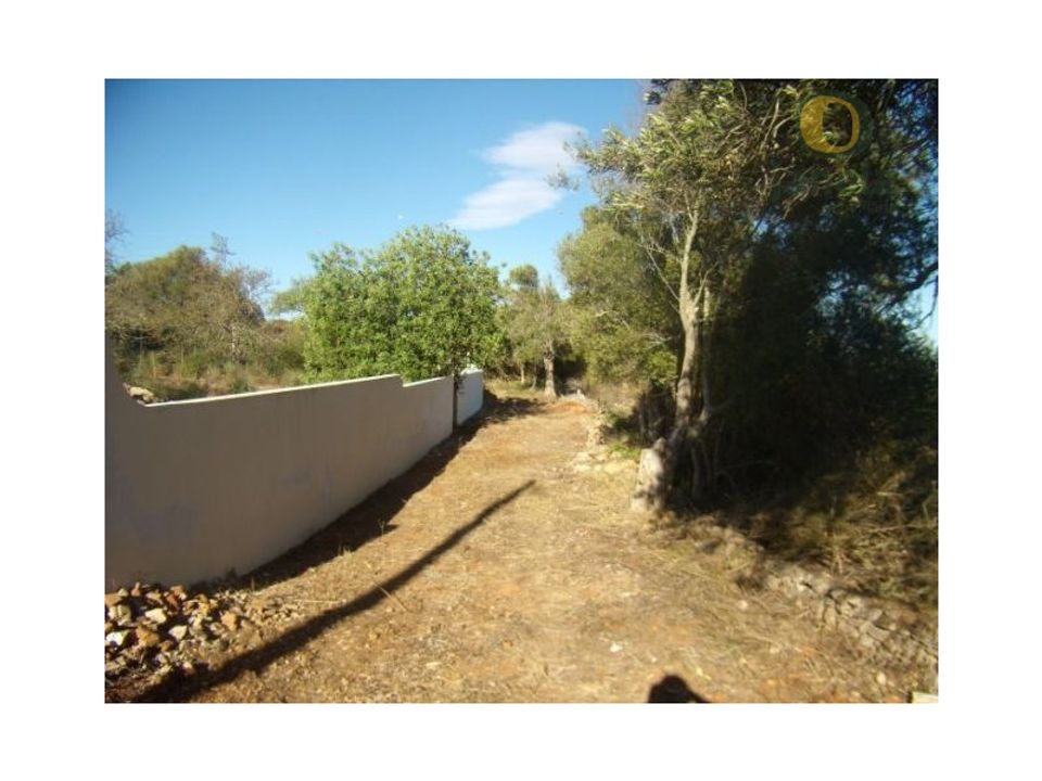 Farm i Algoz, Faro - foto 3