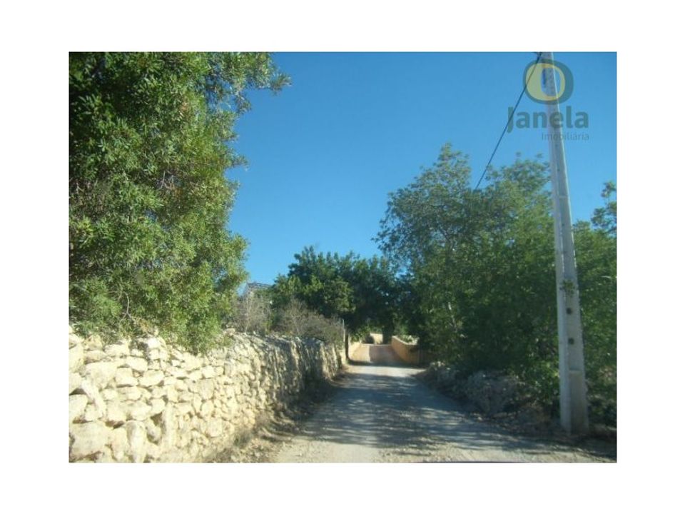 Farm i Algoz, Faro - foto 4