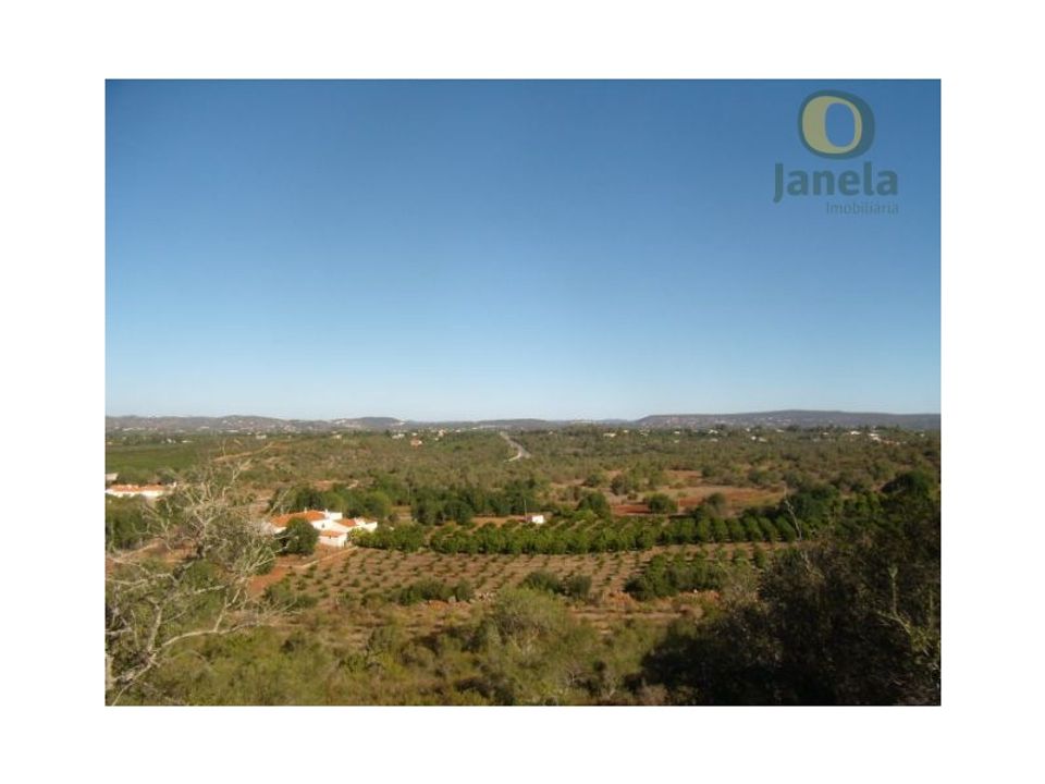 Farm i Algoz, Faro - foto 1