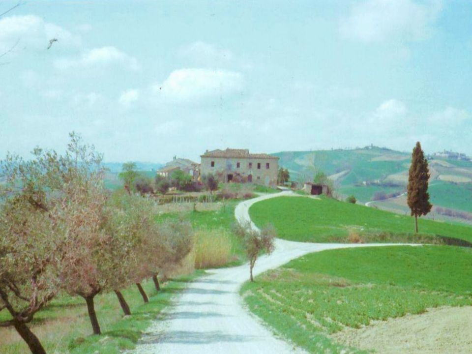 Villa - Offida, Ascoli Piceno - photo 1