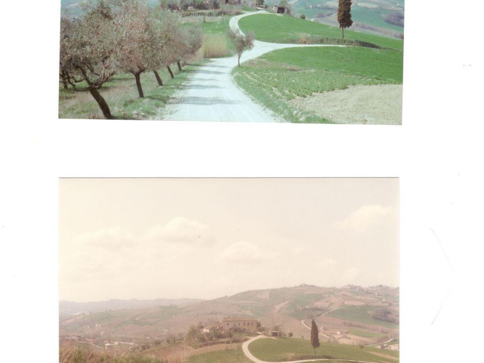 Villa - Offida, Ascoli Piceno - photo 3