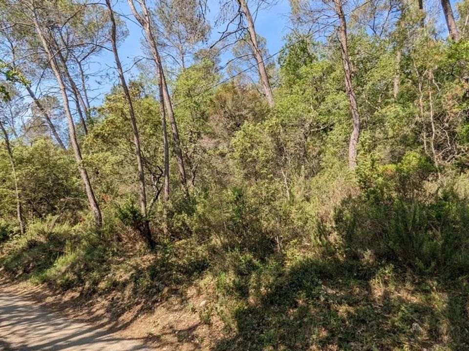 Helårsgrund i Entrecasteaux, Var - foto 3