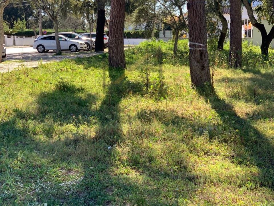Helårsgrund i Palmela, Setubal - foto 3