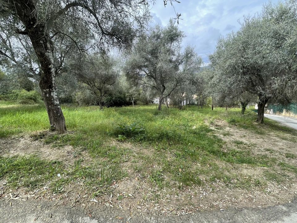 Helårsgrund i Contes, Alpes-Maritimes - foto 2
