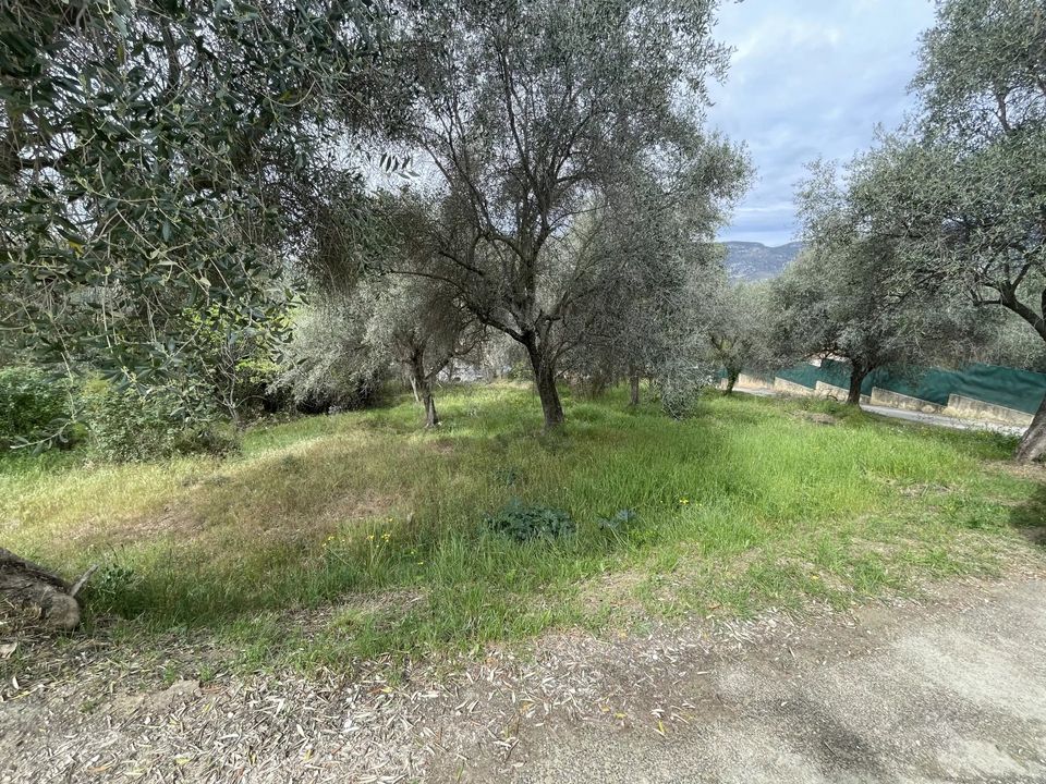 Helårsgrund i Contes, Alpes-Maritimes - foto 4