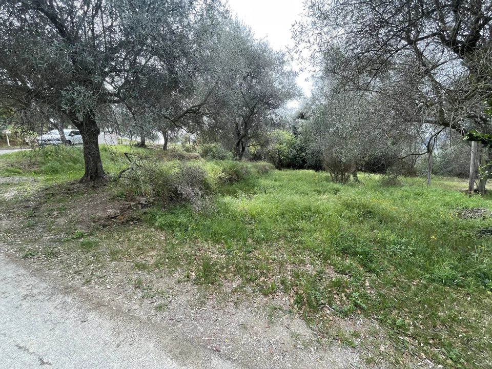 Helårsgrund i Contes, Alpes-Maritimes - foto 1