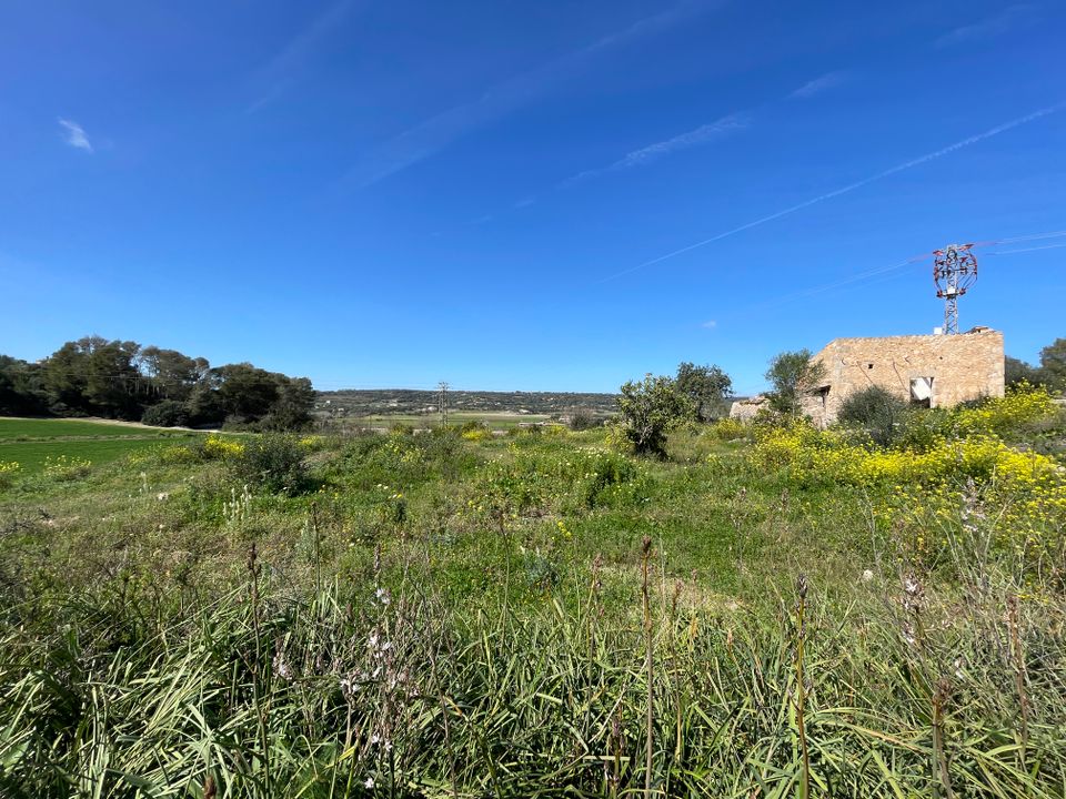 Helårsgrund i Manacor, Mallorca - foto 1