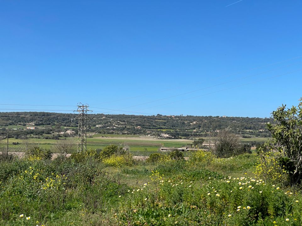 Helårsgrund i Manacor, Mallorca - foto 3